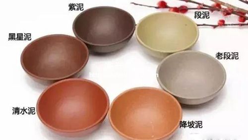 常見泥料燒制的紫砂杯成品對比