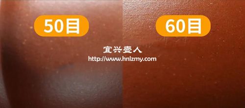 紫砂壺50目和60目對(duì)比