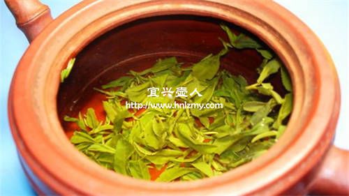 一般用什么茶養紫砂壺