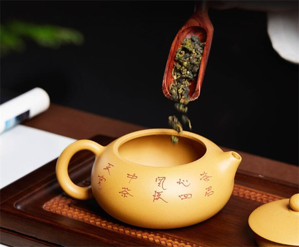 紫砂壺開壺用哪種龍井茶